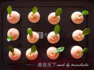 苹果烧果子的做法步骤：16