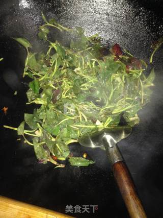 素炒鱼腥草的做法步骤：3