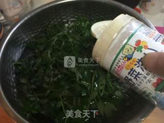 凉拌花椒芽的做法步骤：2