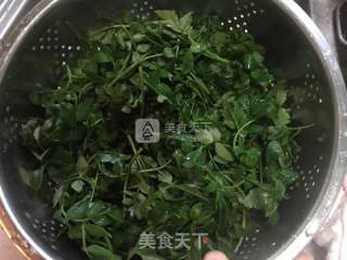 凉拌花椒芽的做法步骤：4