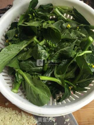 春意盎然盐水菜心的做法步骤：1