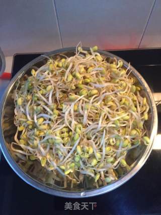 豆芽炒粉条的做法步骤：1