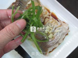 清蒸鲩鱼尾的做法步骤：8