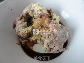 韭菜虾皮肉馅锅贴的做法步骤：3