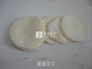 韭菜虾皮肉馅锅贴的做法步骤：5