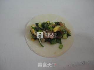 韭菜虾皮肉馅锅贴的做法步骤：6