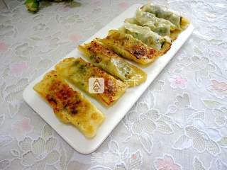 韭菜虾皮肉馅锅贴的做法步骤：12