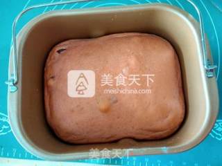 红曲葡萄干面包的做法步骤：16