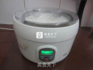 原味酸奶的做法步骤：5