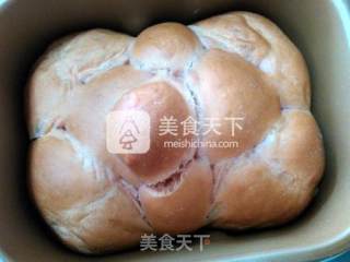 笨熊面包的做法步骤：23
