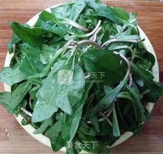 清炒马兰头的做法步骤：1
