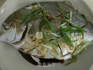 清蒸金鲳鱼的做法步骤：5