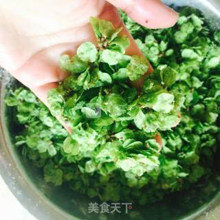 蒸榆钱饭的做法步骤：5