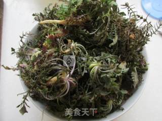 荠菜翡翠饺子的做法步骤：1