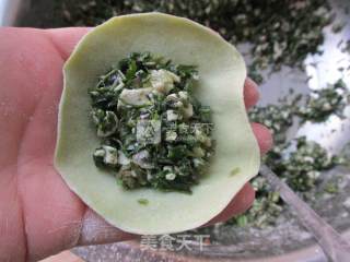荠菜翡翠饺子的做法步骤：7