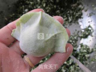 荠菜翡翠饺子的做法步骤：8