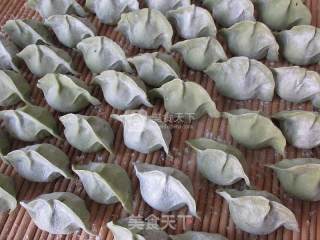 荠菜翡翠饺子的做法步骤：9