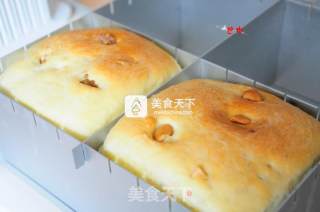 坚果方面包的做法步骤：12