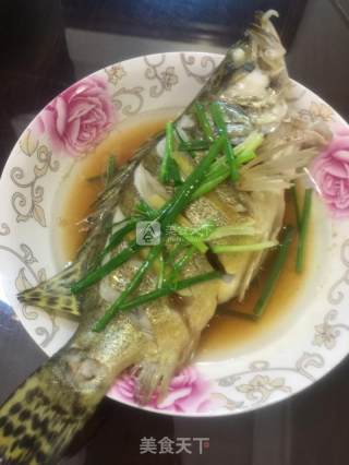 清蒸桂鱼的做法步骤：5