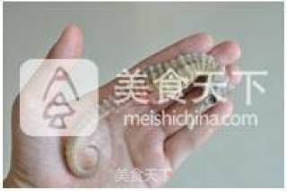 海马炖田七白鸽的做法步骤：1