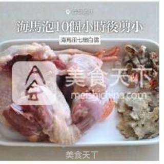 海马炖田七白鸽的做法步骤：2