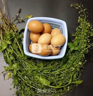 荠菜花煮鸡蛋的做法步骤：1