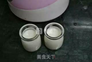 自制酸奶的做法步骤：6