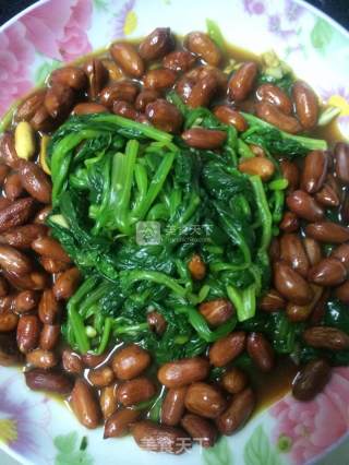 简易版果仁菠菜！！补血又美容哦～的做法步骤：6