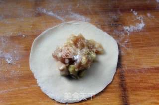 白菜鲜肉饺子的做法步骤：7
