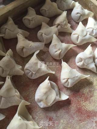 白菜猪肉馄饨的做法步骤：6