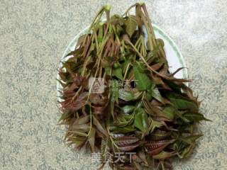 家庭版自制香椿酱的做法步骤：1