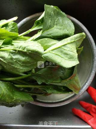 香菇羊肉菠菜包子的做法步骤：2