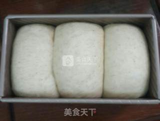 全麦吐司的做法步骤：9