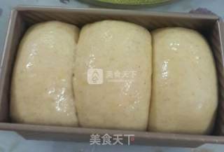 全麦吐司的做法步骤：10