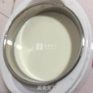 自制美味酸奶的做法步骤：12