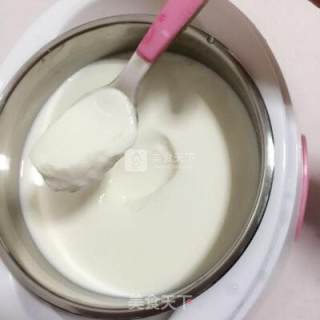 自制美味酸奶的做法步骤：13