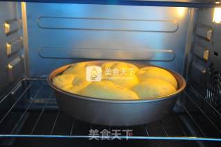 香酥椰蓉小排包的做法步骤：12
