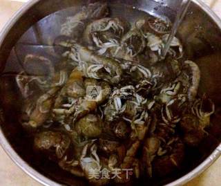 清蒸蝼蛄虾的做法步骤：2