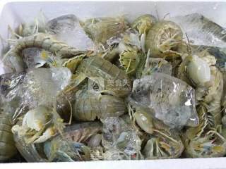 清蒸皮皮虾的做法步骤：1