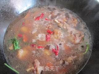 萝卜烧大鹅的做法步骤：7