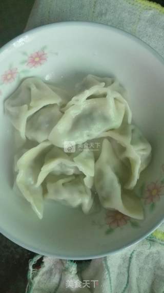 青椒韭菜饺子的做法步骤：5