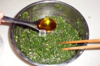 茴香猪肉全麦蒸饺的做法步骤：6