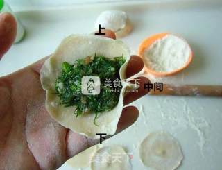 茴香猪肉全麦蒸饺的做法步骤：8