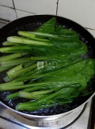 葱油菜心的做法步骤：4