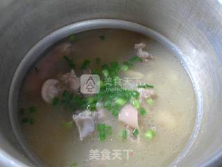 白芸豆猪蹄汤的做法步骤：11