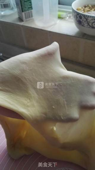 蔓越莓牛奶面包的做法步骤：4