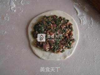 荠菜鲜肉馅饼的做法步骤：13