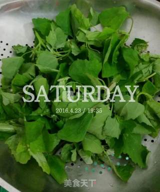 清炒灰灰菜的做法步骤：2