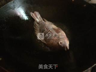红烧罗非鱼的做法步骤：3