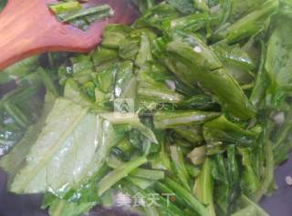 腐乳油麦菜的做法步骤：5